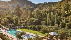 10 Enchanting Romantic Destinations in Napa Valley, USA: An Unforgettable Journey for Lovebirds